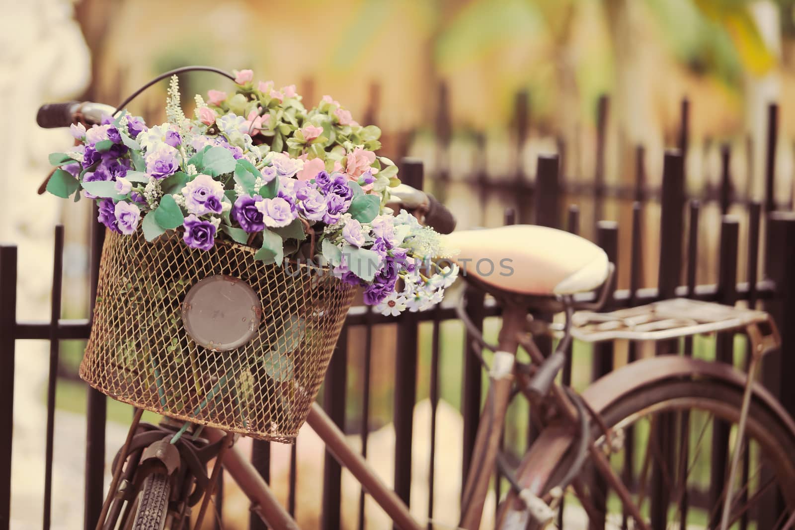 The bike basket with roses by rufous