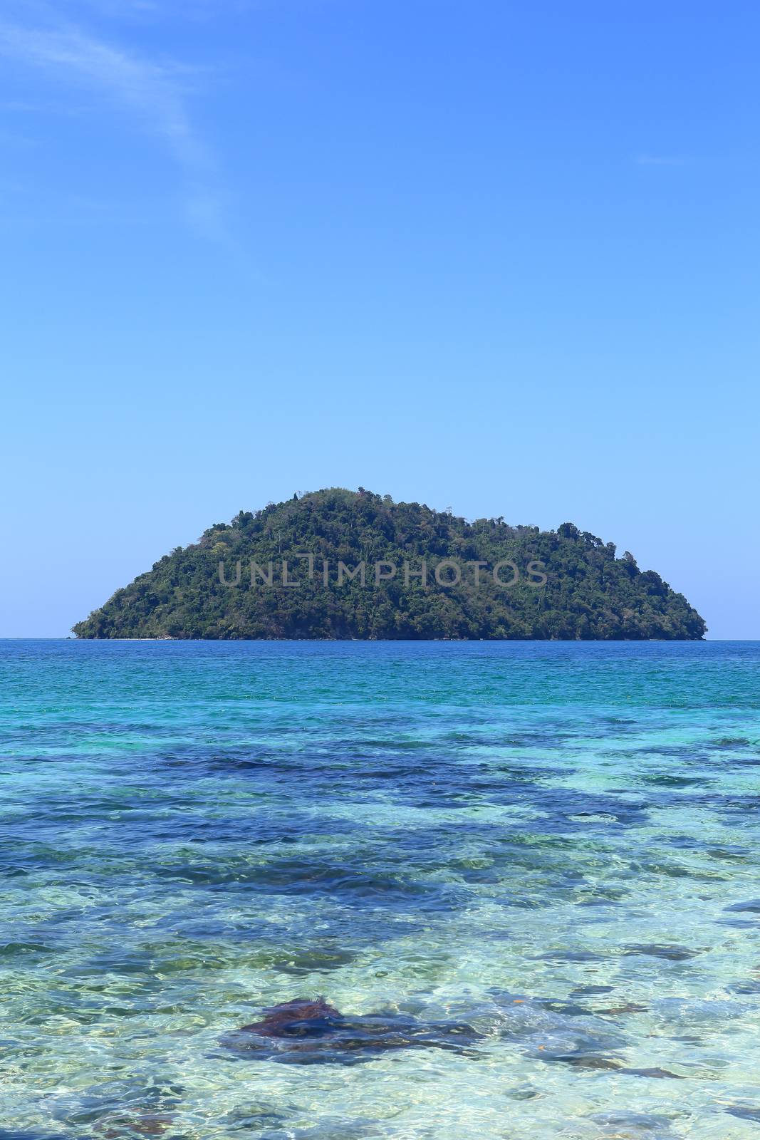 beautiful island with white beach  by rufous