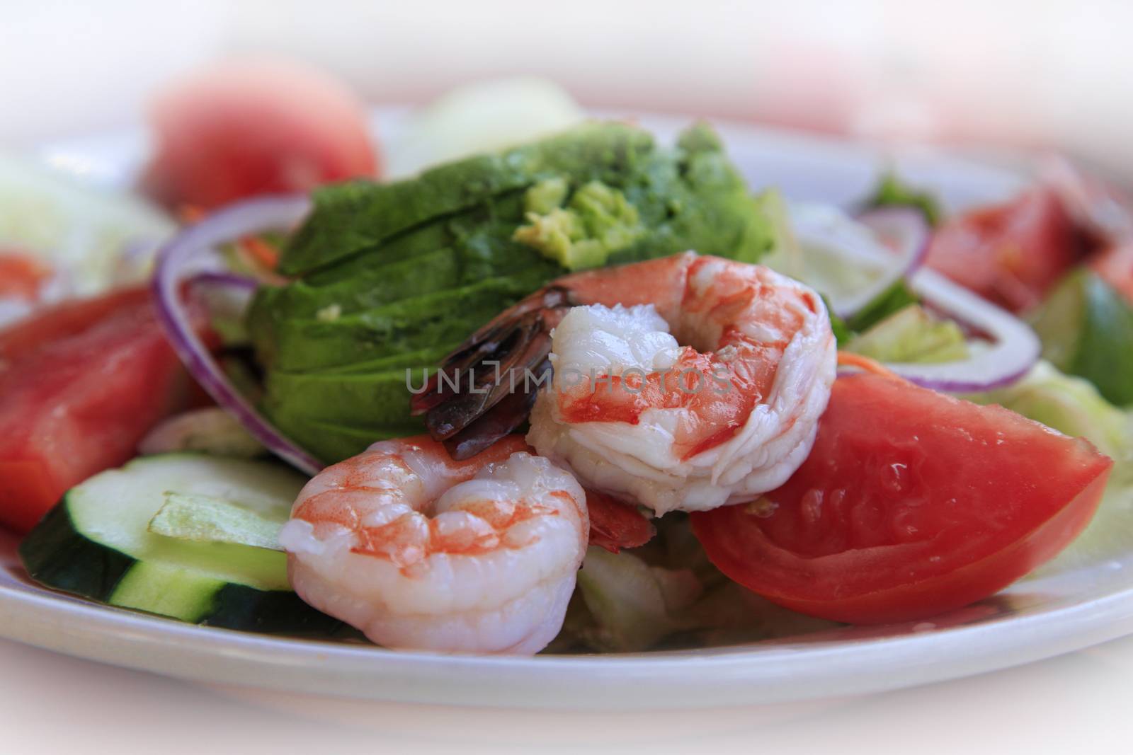 prawn with a fresh vegetables
