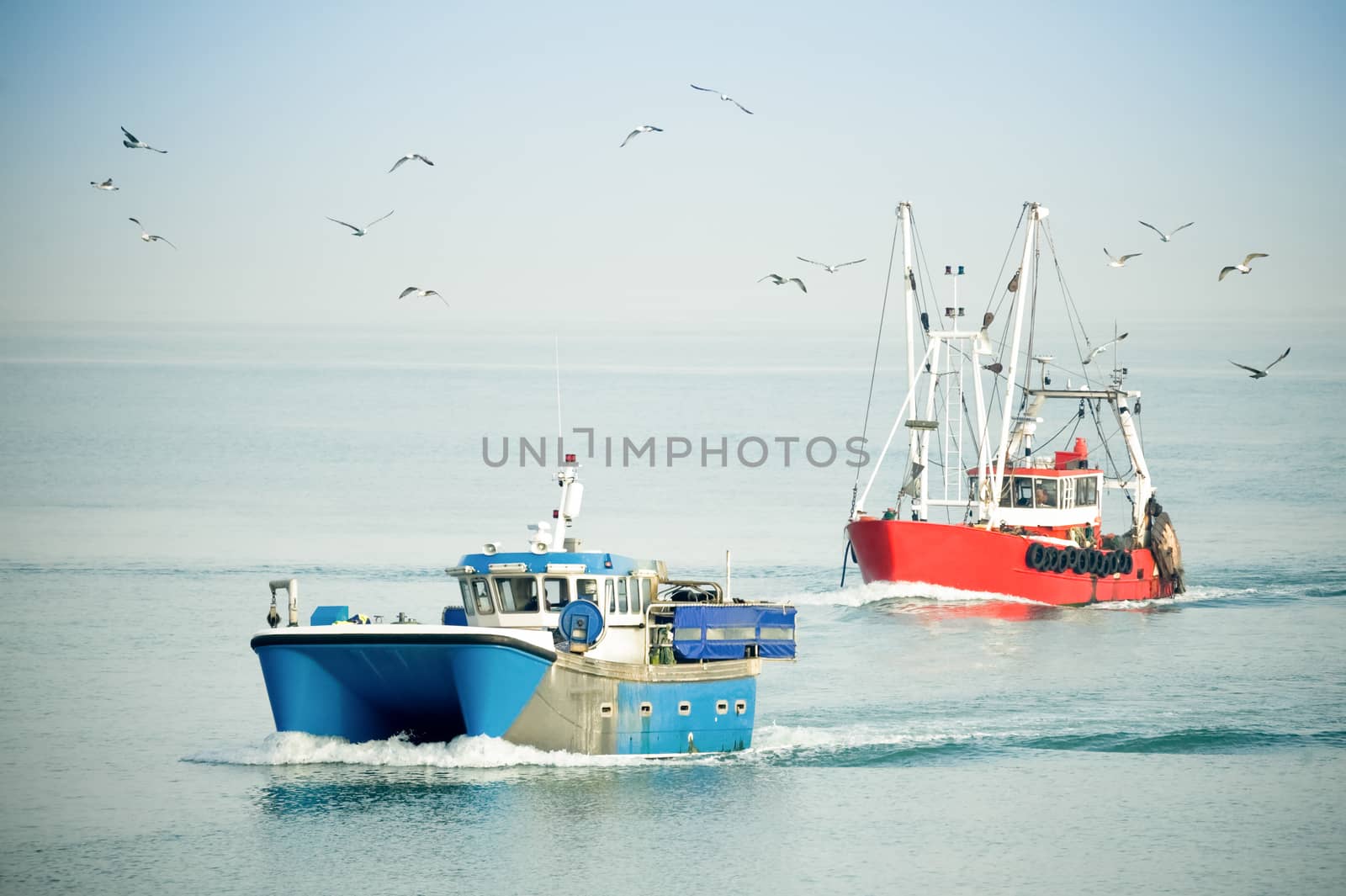 fishing trawlers returning to port on a hazy day surrounded by seagulls