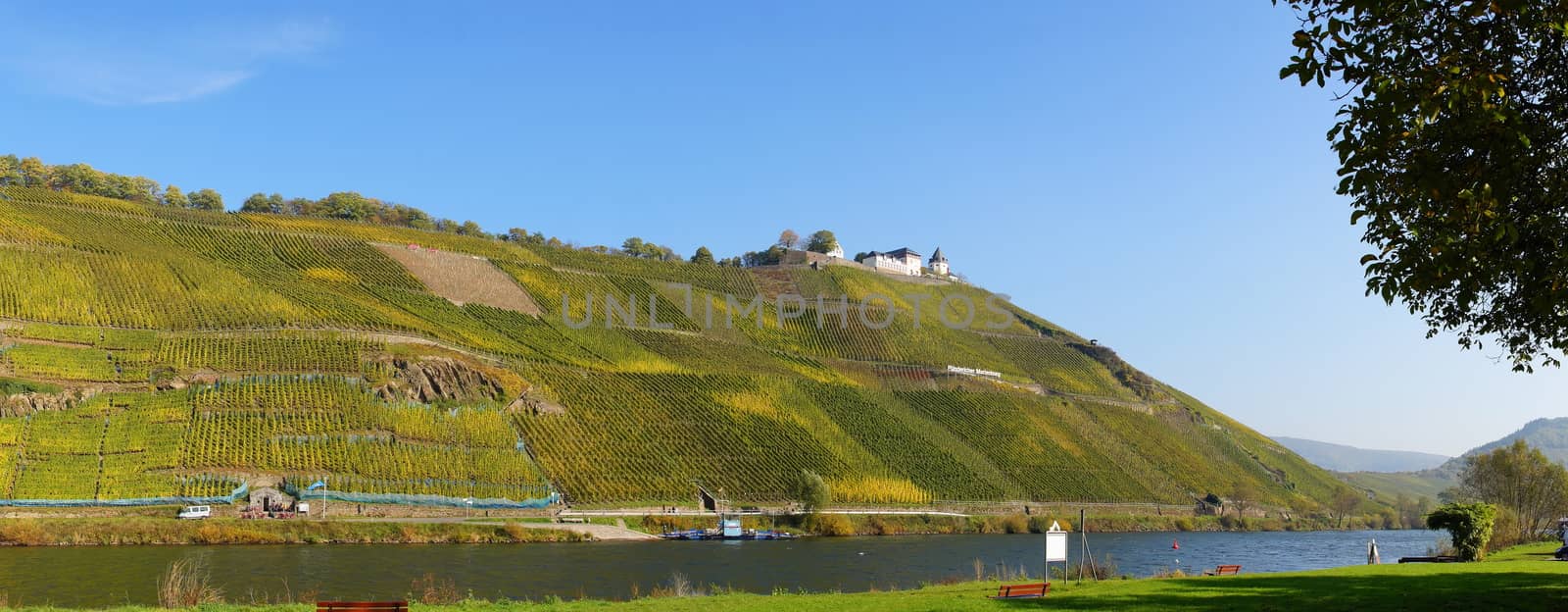 Weinlage Pündericher Marienburg Panorama