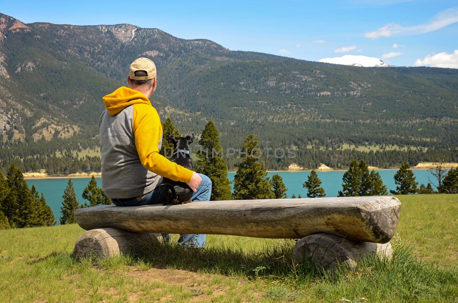 Man and chihuahua on a bench by dnsphotography