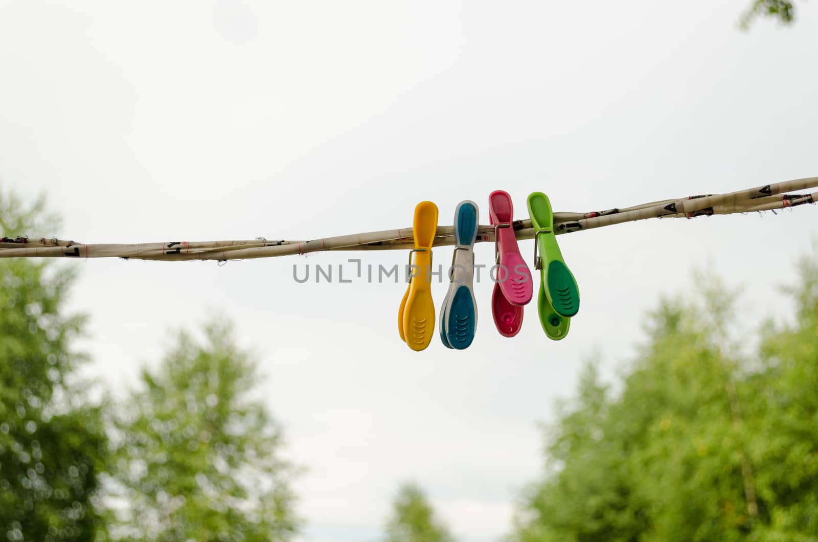 colorful clothes pins hanging on rope outdoor by sauletas