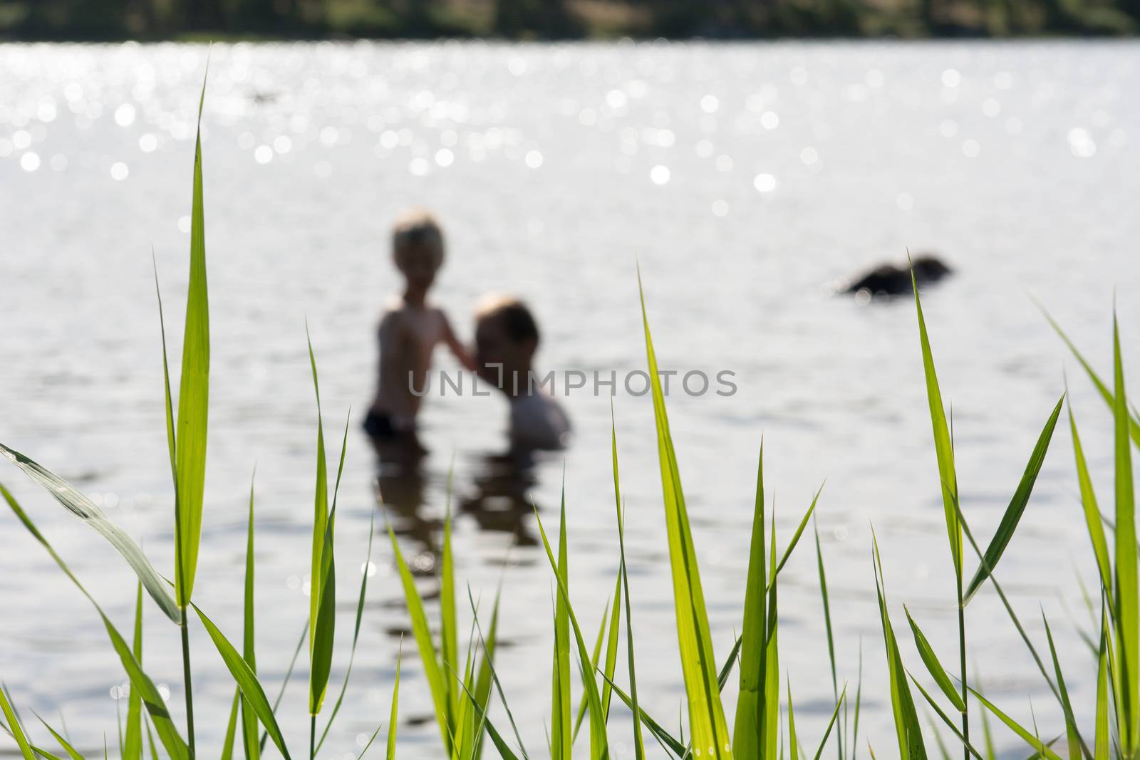 People in a lake by Arrxxx