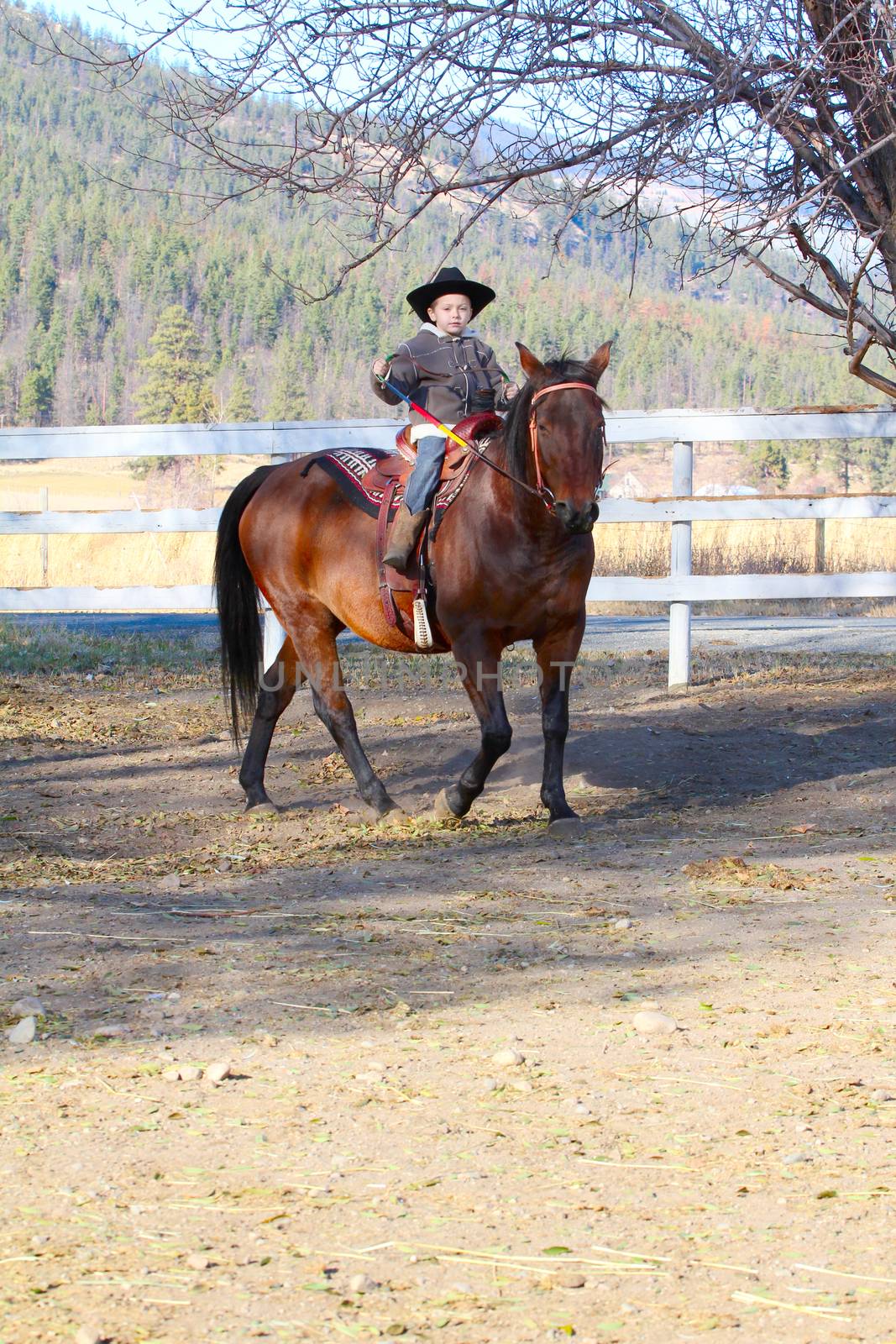 Young cowboy riding his horse on the farm
