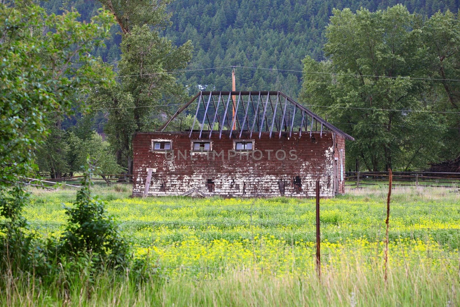 Ruin of old train station now on farmland