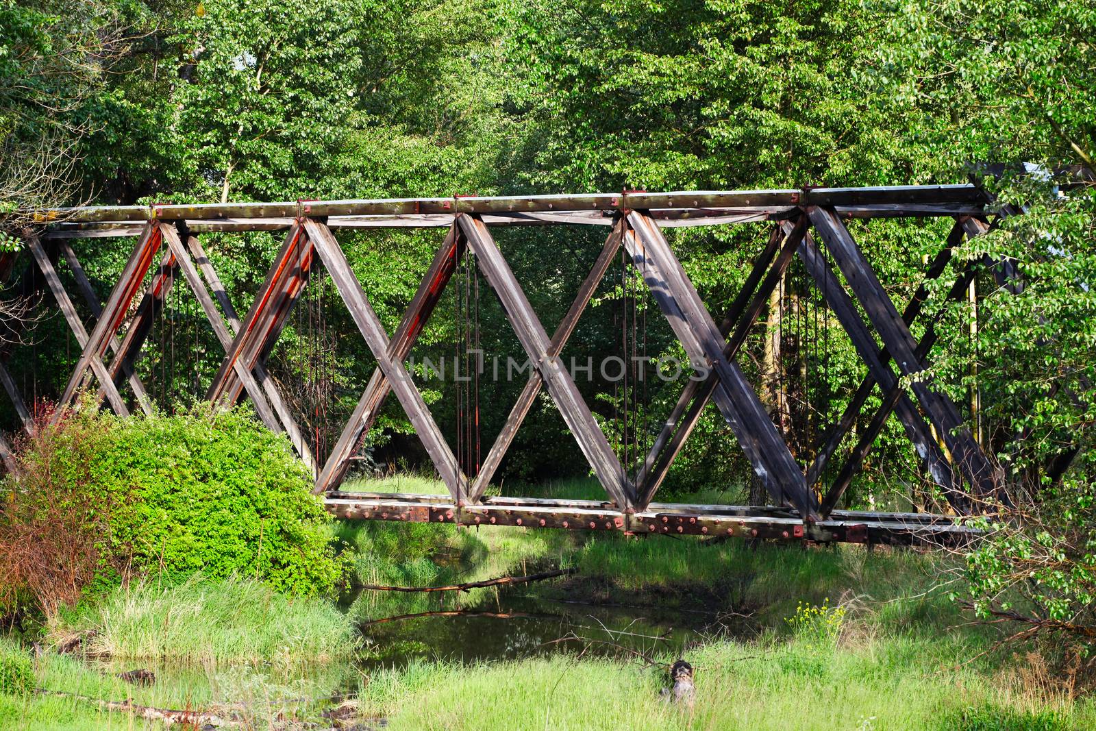 Old bridge in spring forest crossing water