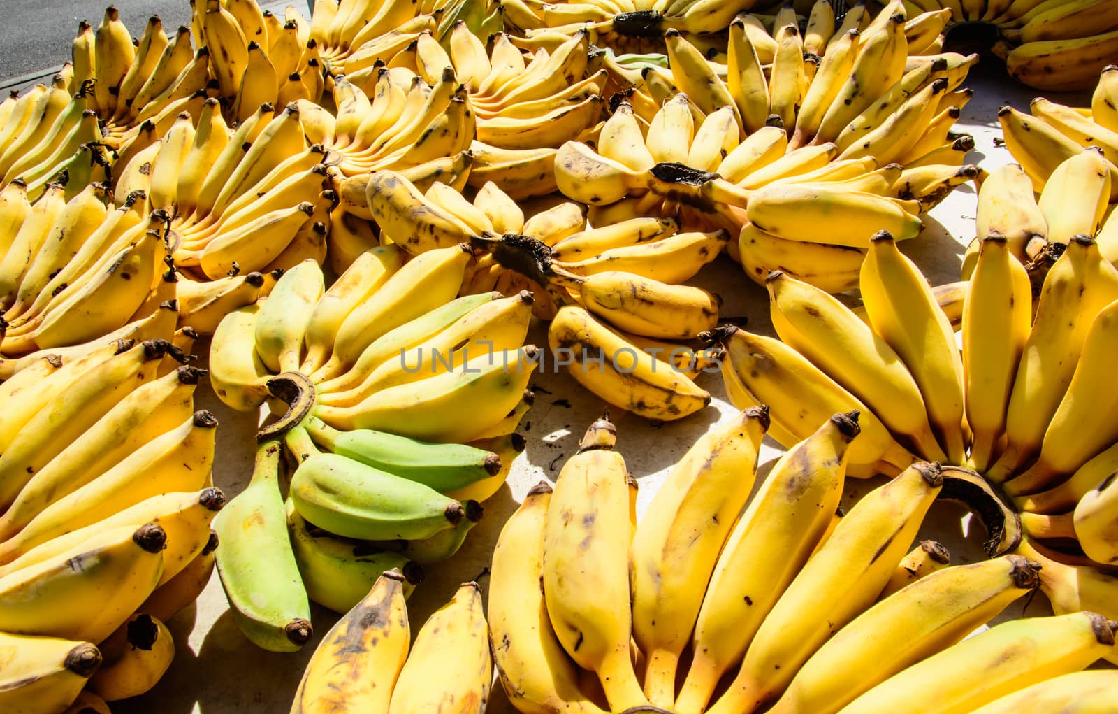 Group of banana is in the market ready to be taken home.