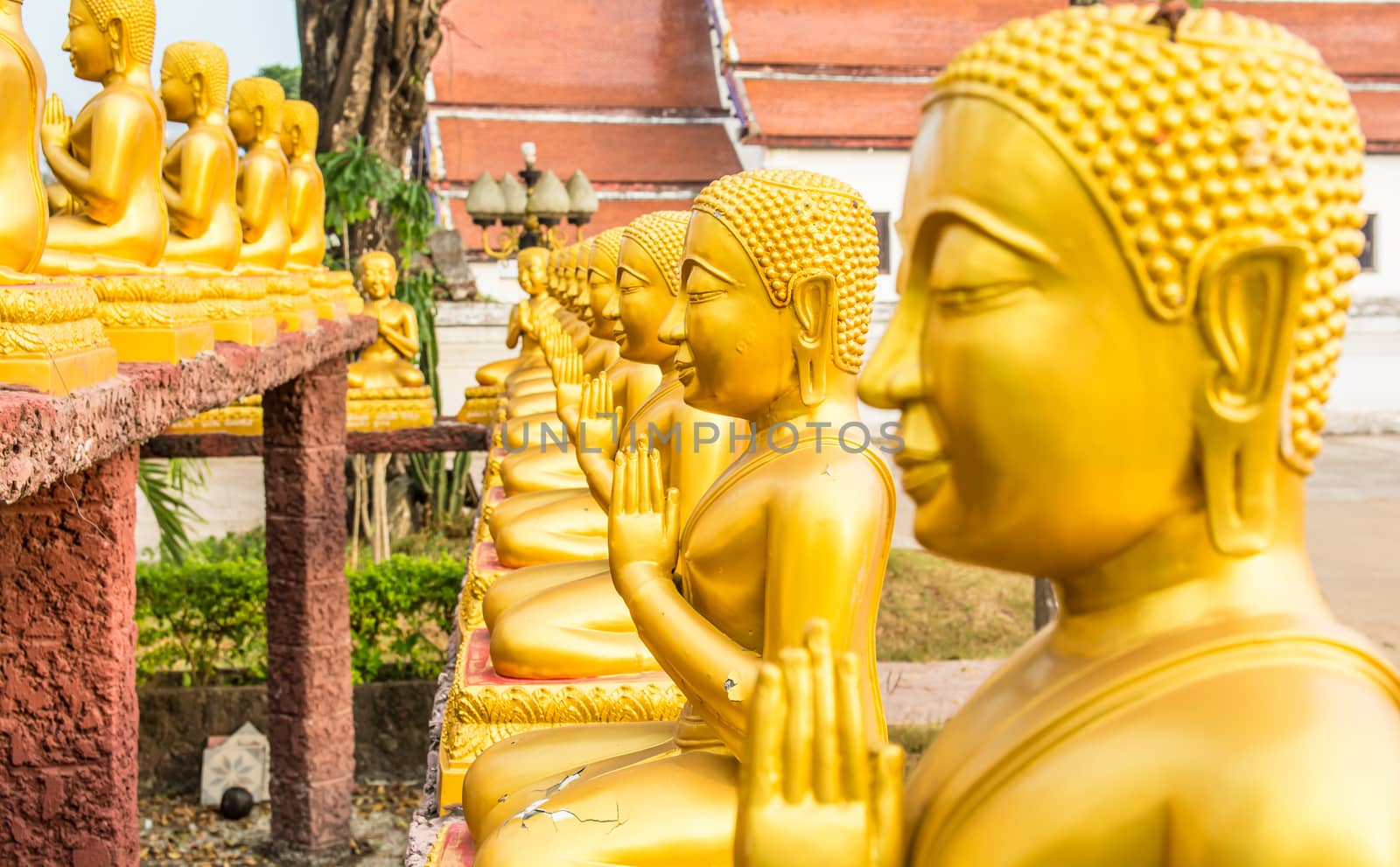 the line of buddhas in the Thai temple