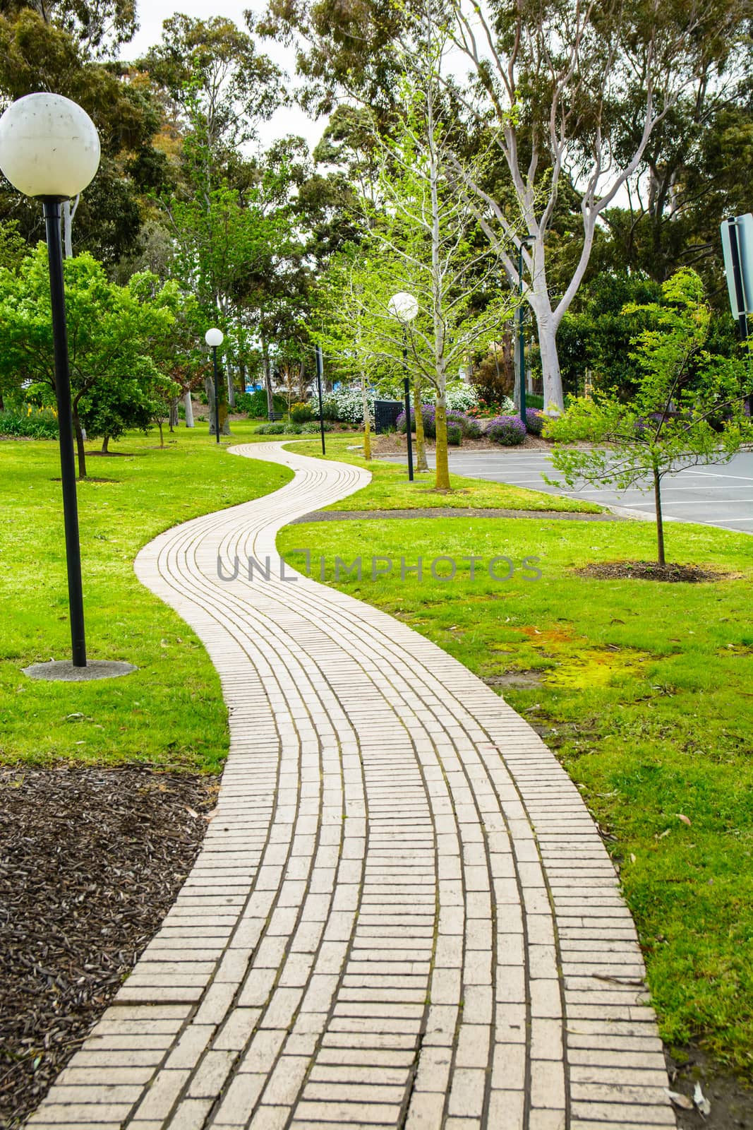 A brick footpath laid from one side of the park to the other side.