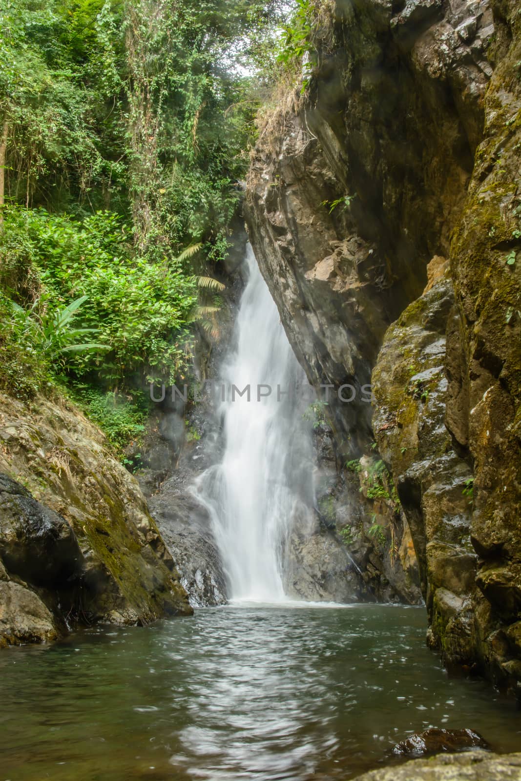 height waterfall in the middle of the forest