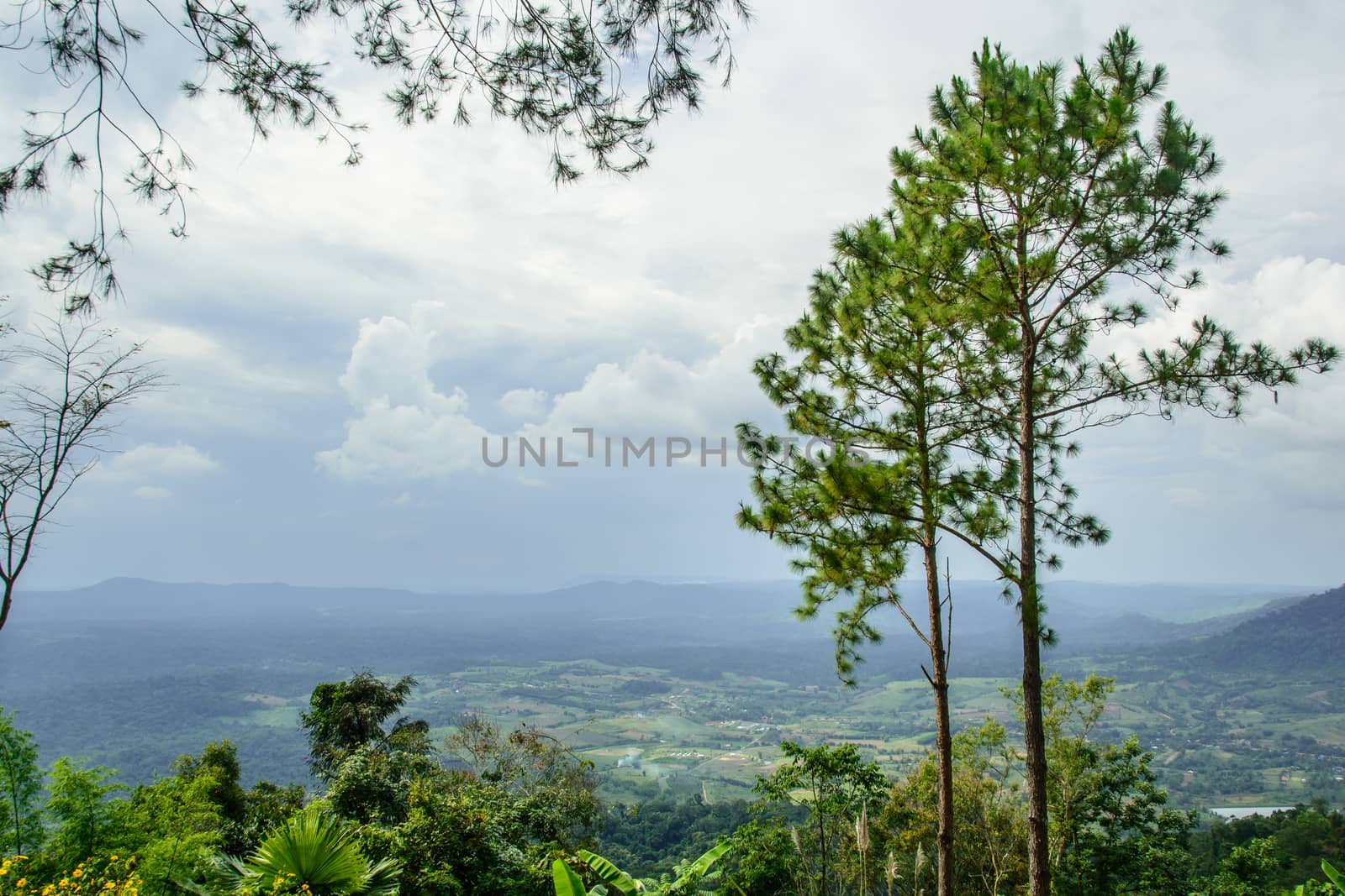 the beautiful landscape on the mountain under the blue sky