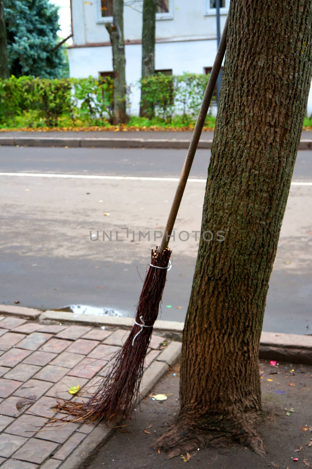  Broom made of twigs leaning against a tree trunk                              