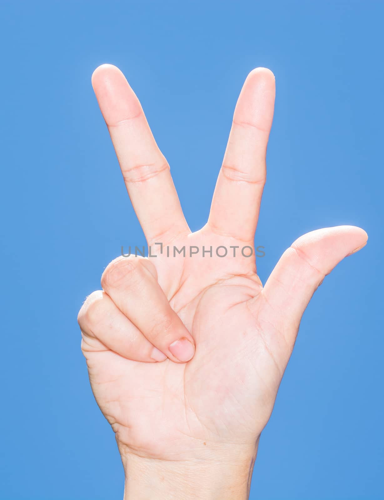 the isolated female hand showing her fingers for number three