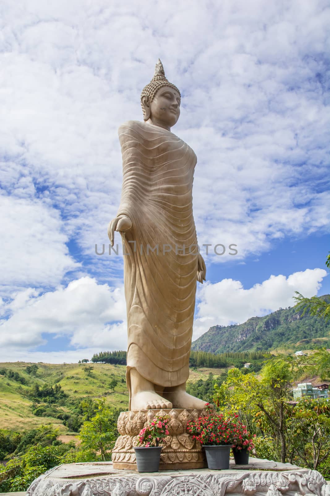 the gold buddha statue standing under the sun and blue sky at Thai temple