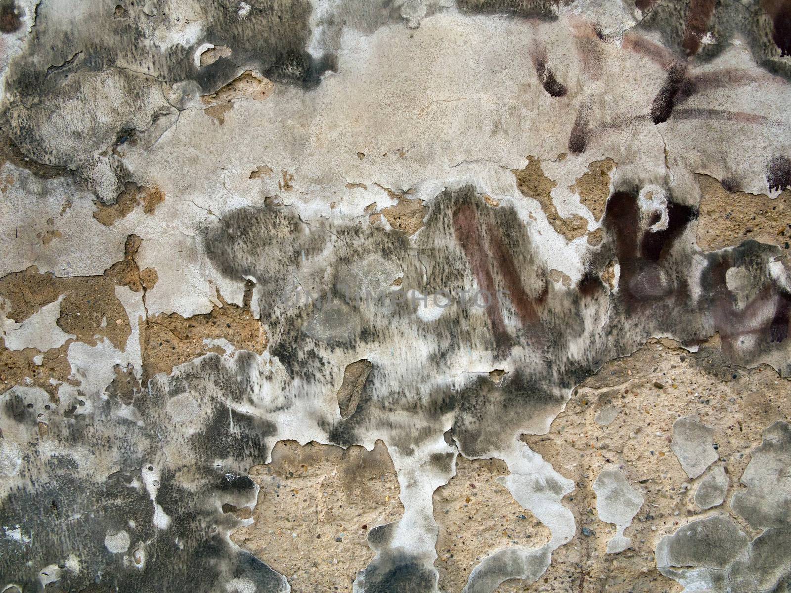 texture of the old and damaged stucco - plaster