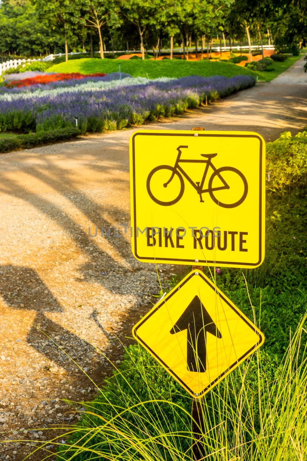 sign for bicycle lane in the park,Chiangrai,Thailand