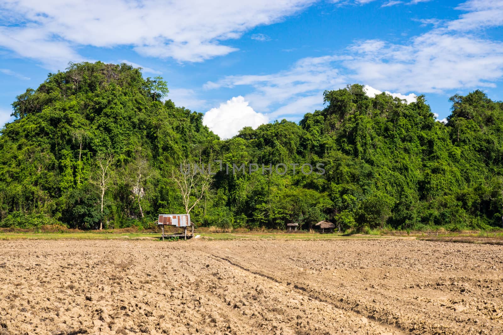 nature scene of rural area in Chiangrai,Thailand