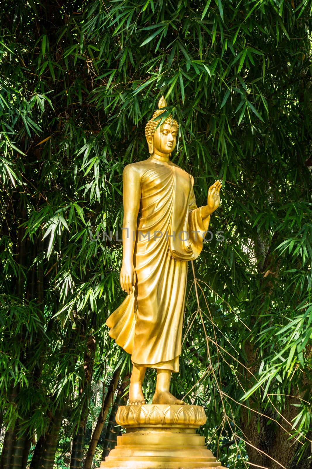 Buddha image at bamboo forest by nattapatt