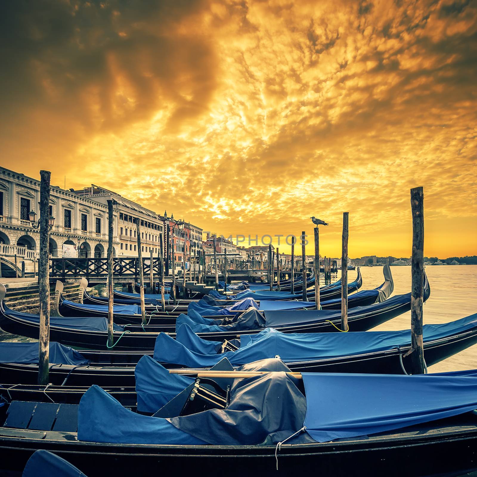 View of Venice with gondolas at sunrise, Italy
