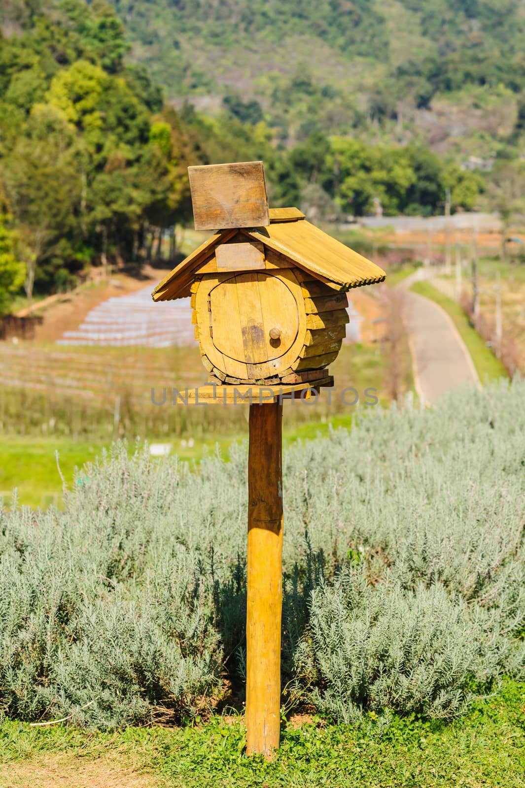 Old wood mailboxes. by ngungfoto