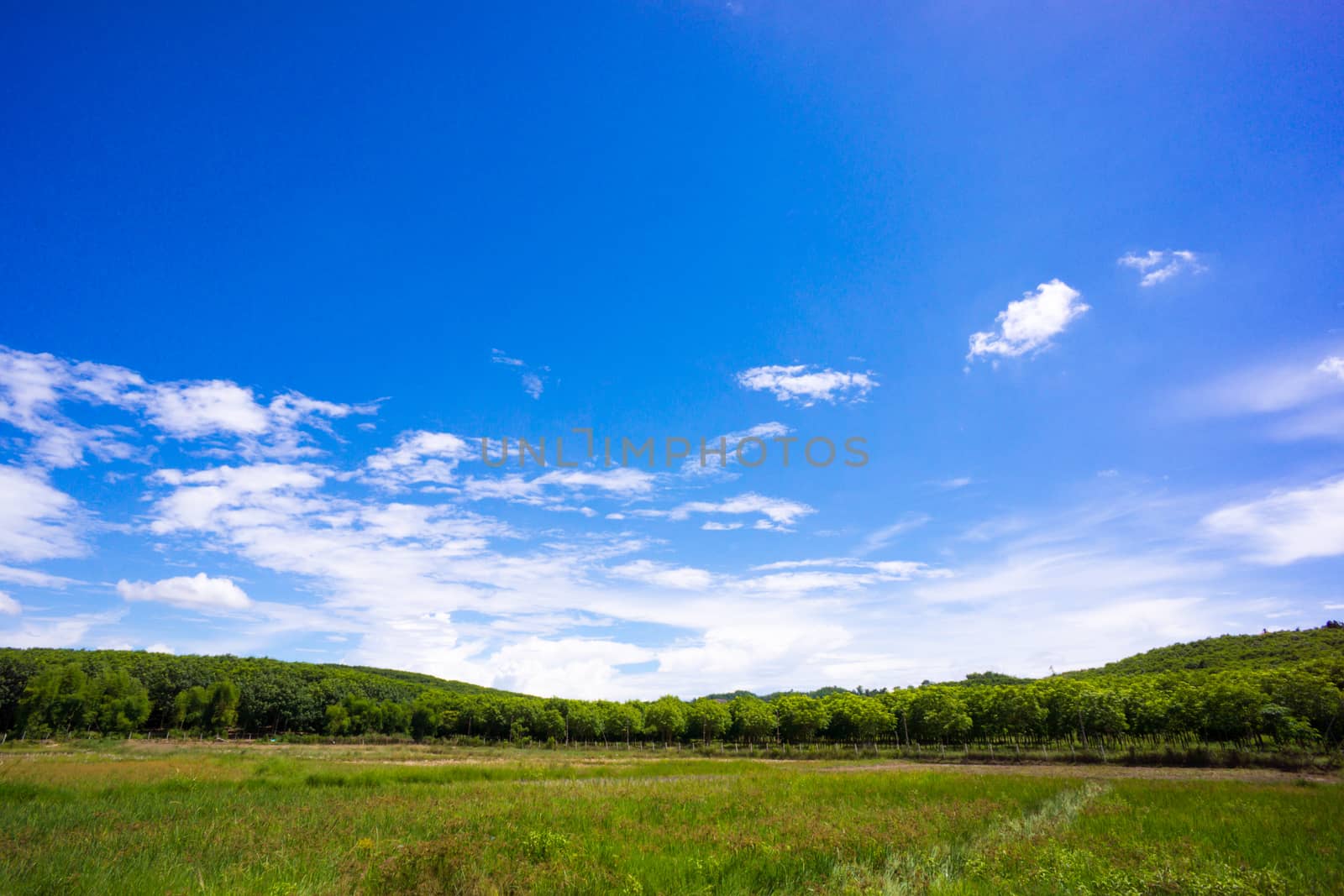 nature scene of rural area in Chiangrai,Thailand