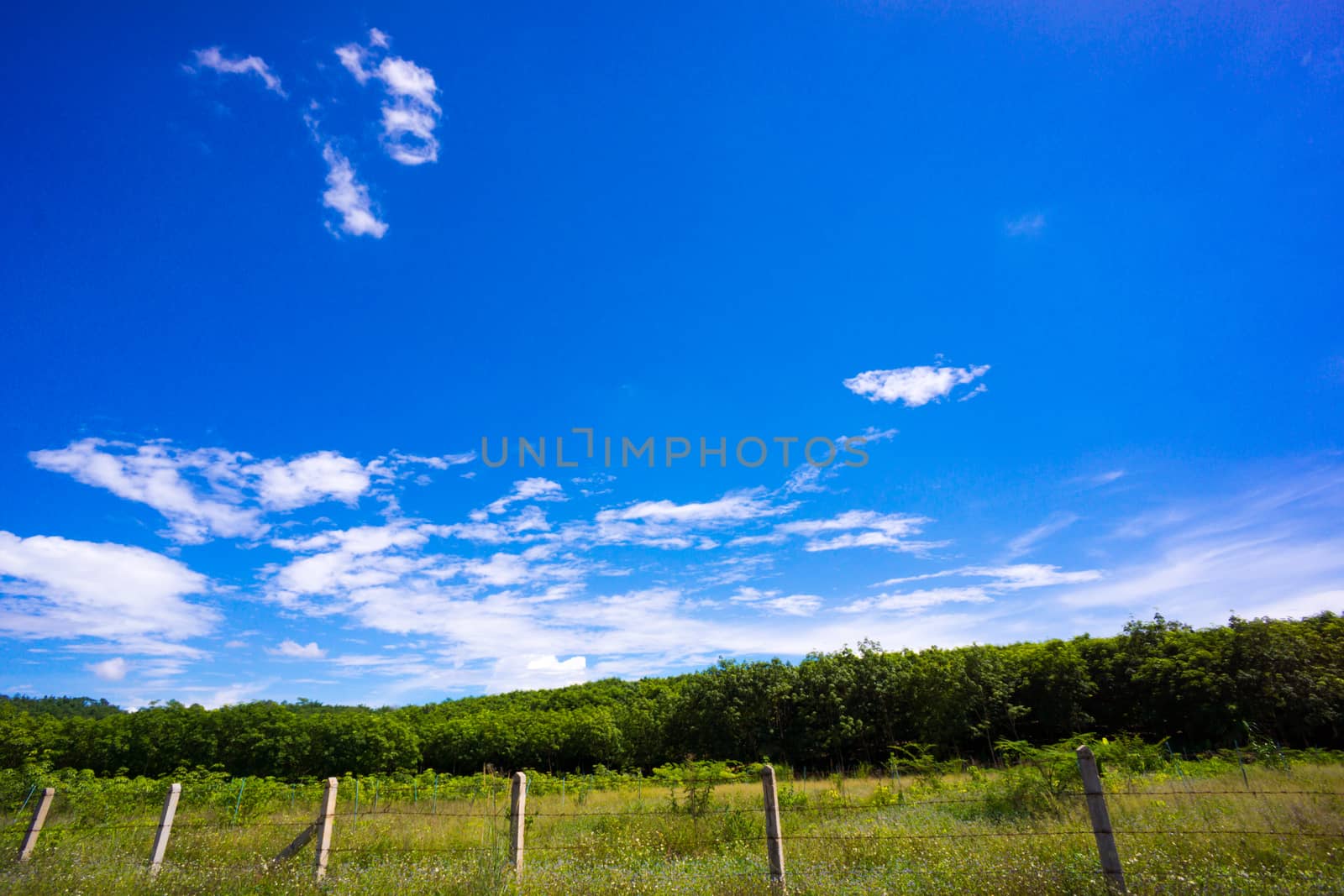 nature scene of rural area in Chiangrai,Thailand