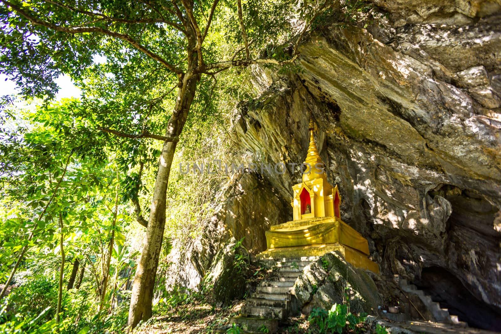 golden pagoda infront of natural cave in the forest,Chiangrai,Thailand