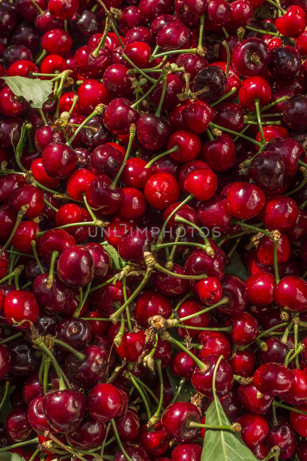 nice coloured cherries. flash used to get nice light spots on the berries