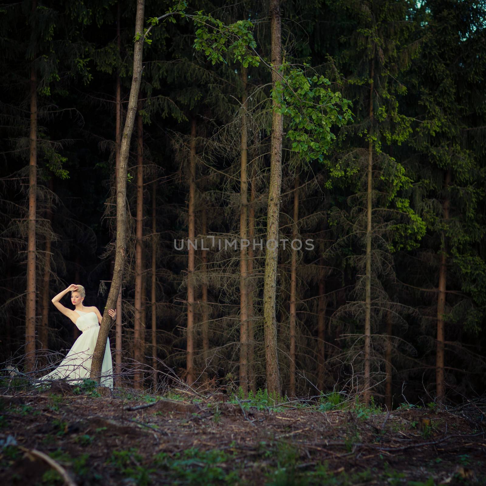 Lovely bride outdoors in a forest by viktor_cap