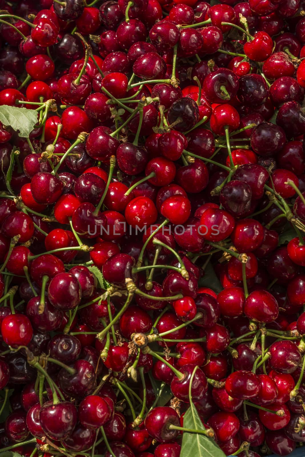 nice coloured cherries. flash used to get nice light spots on the berries