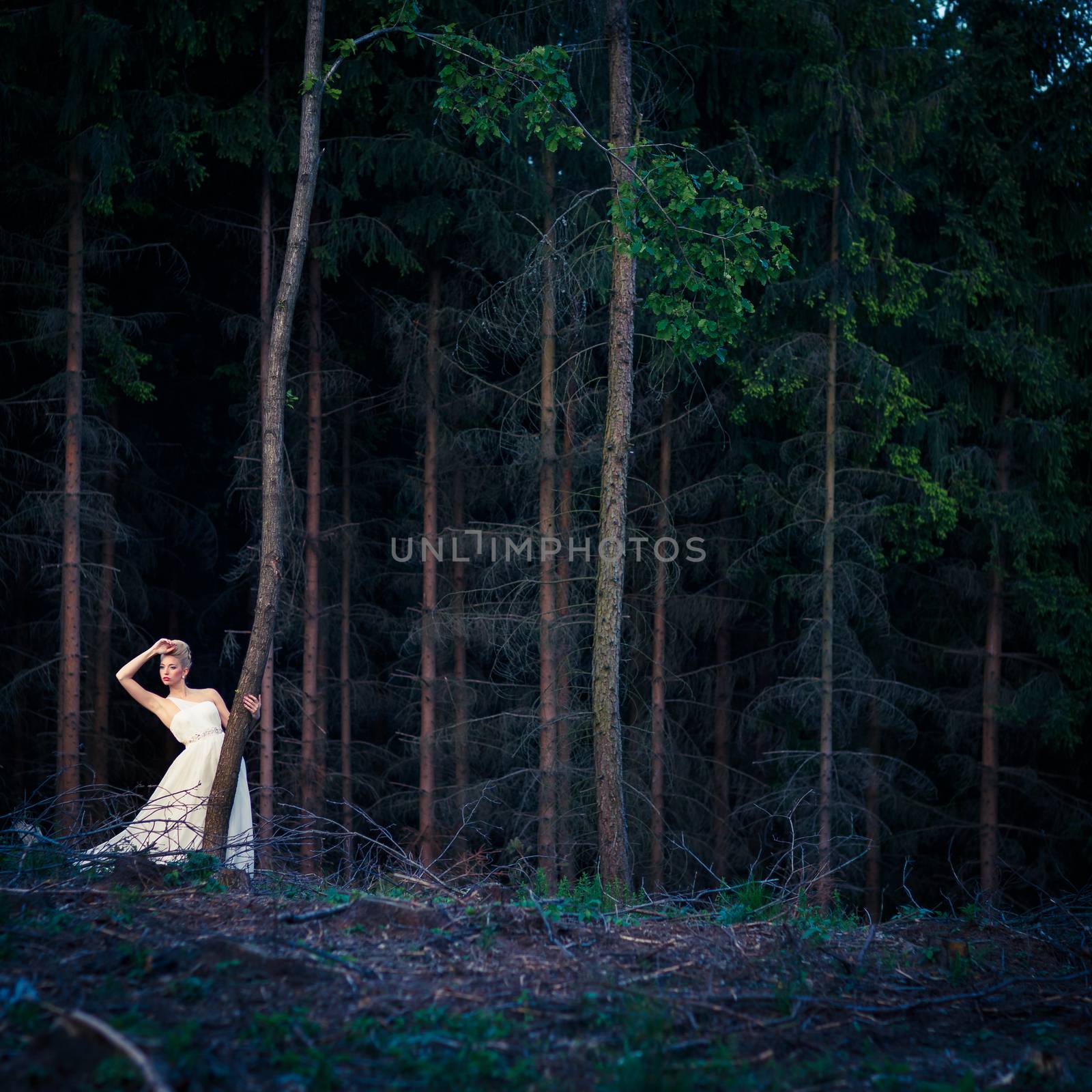 Lovely bride outdoors in a forest