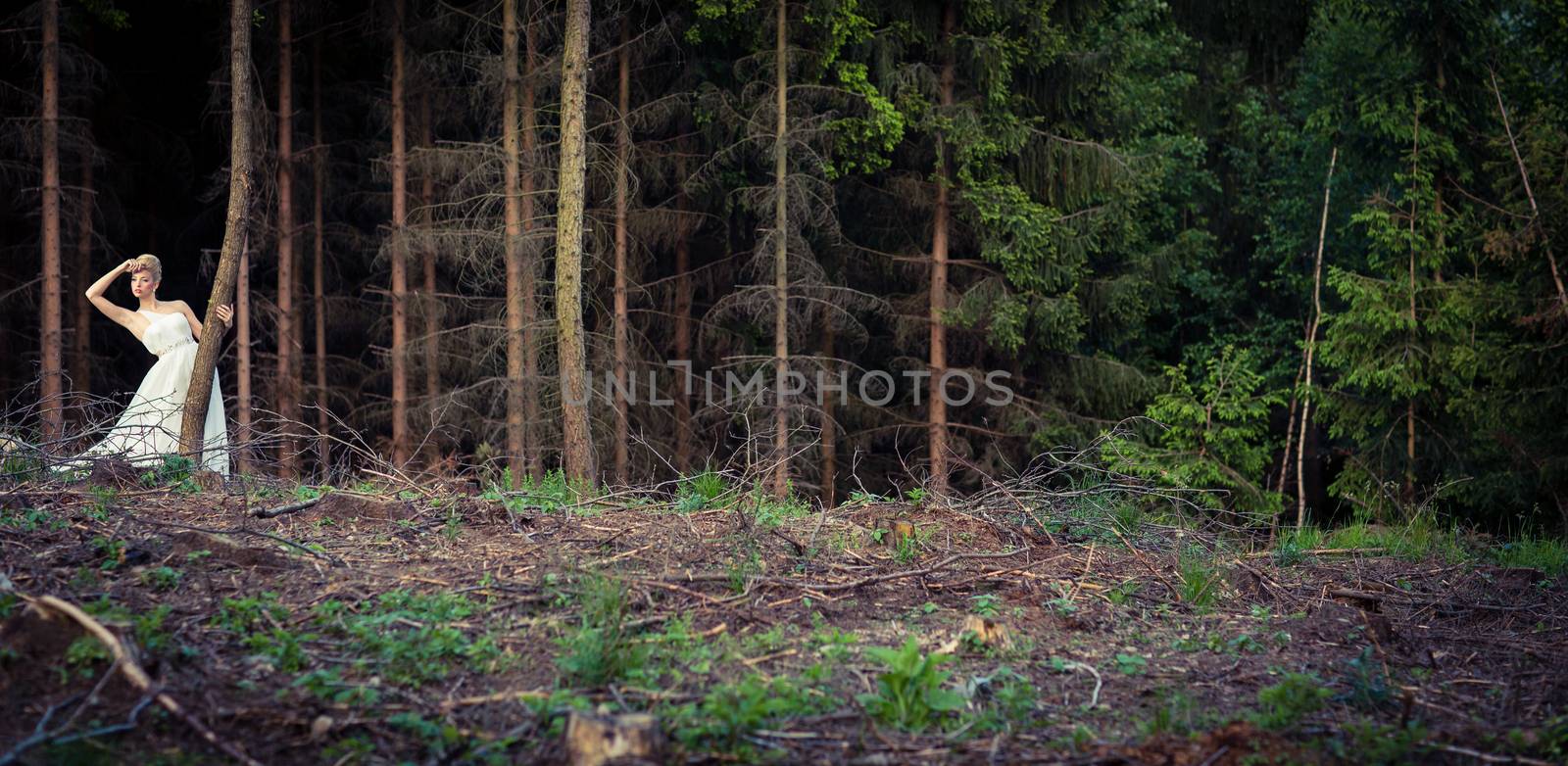 Lovely bride outdoors in a forest