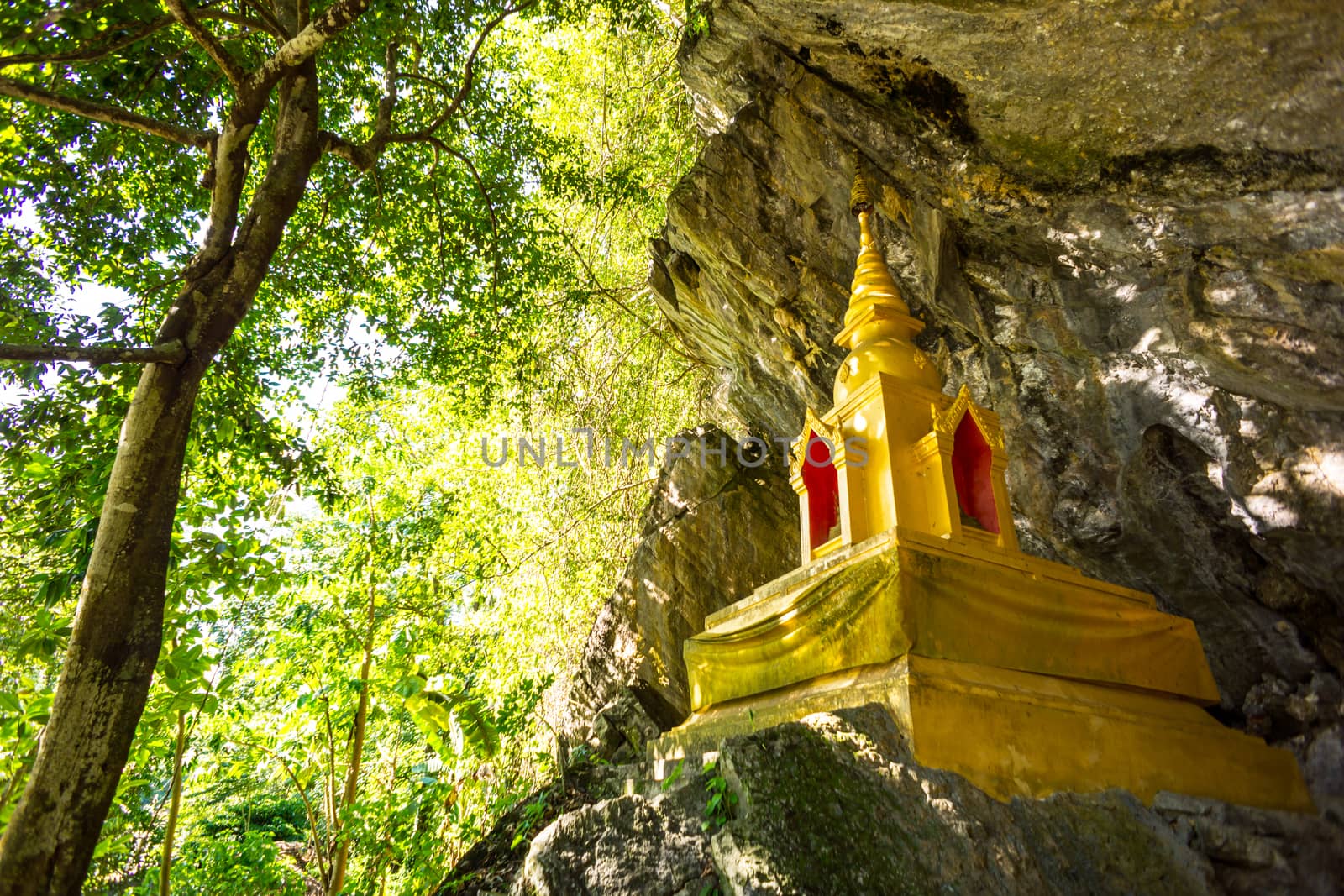 golden pagoda infront of natural cave in the forest,Chiangrai,Thailand