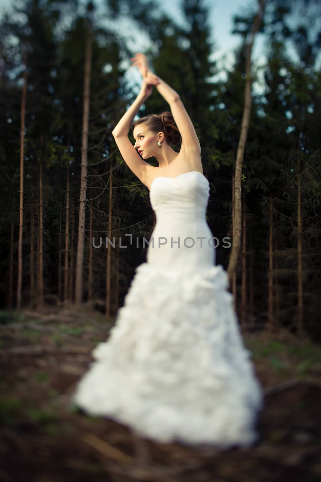 Lovely bride outdoors in a forest