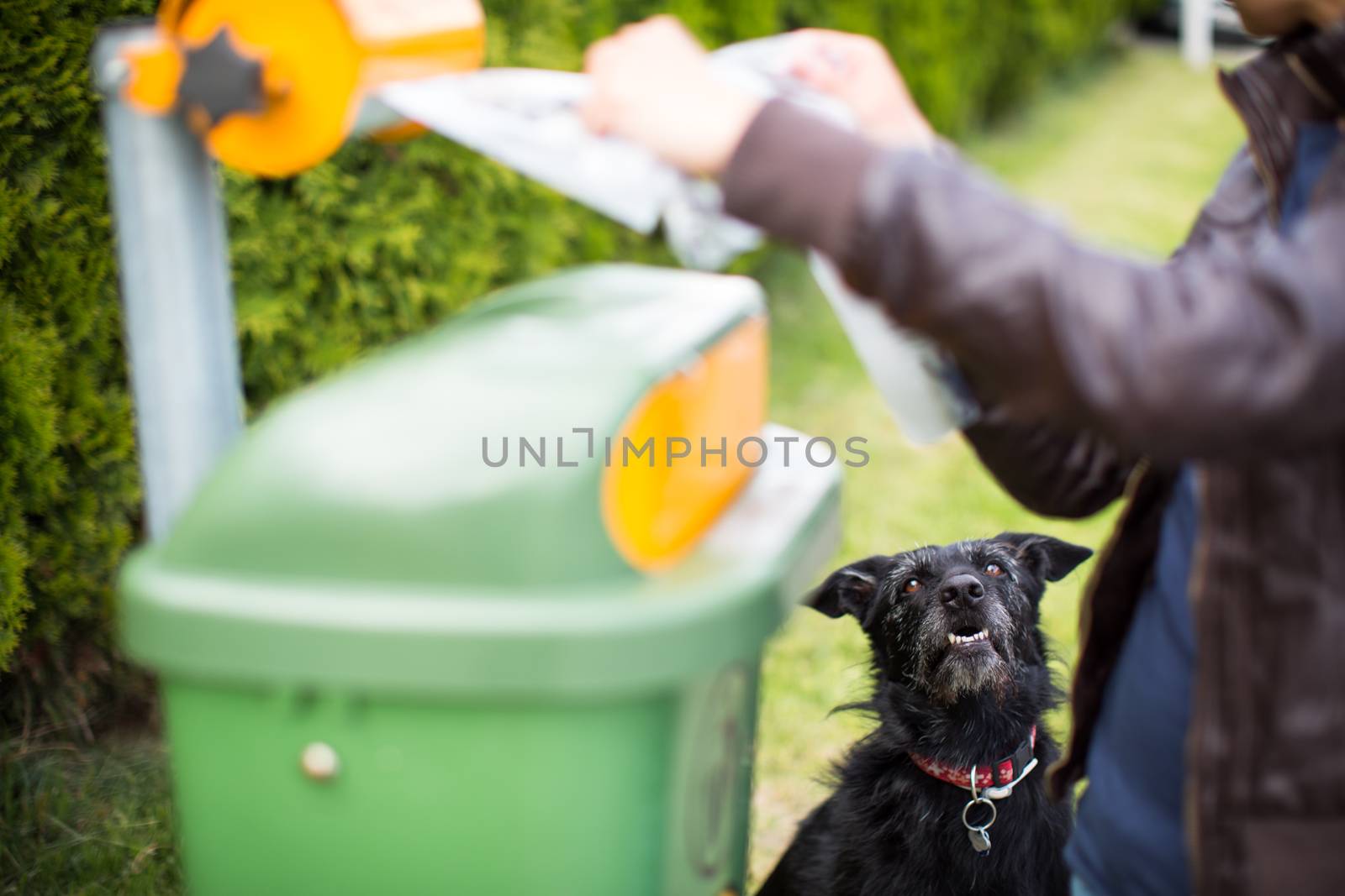 Do not let your dog faul! - Young woman grabbing a plastic bag in a park to tidy up after her dog later