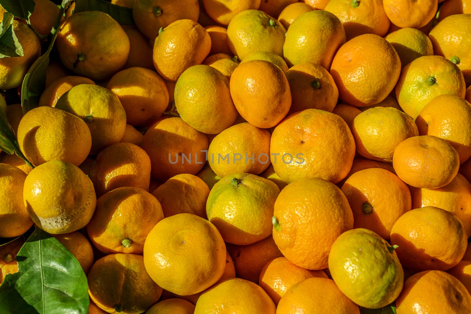 Mandarin Oranges by emirkoo