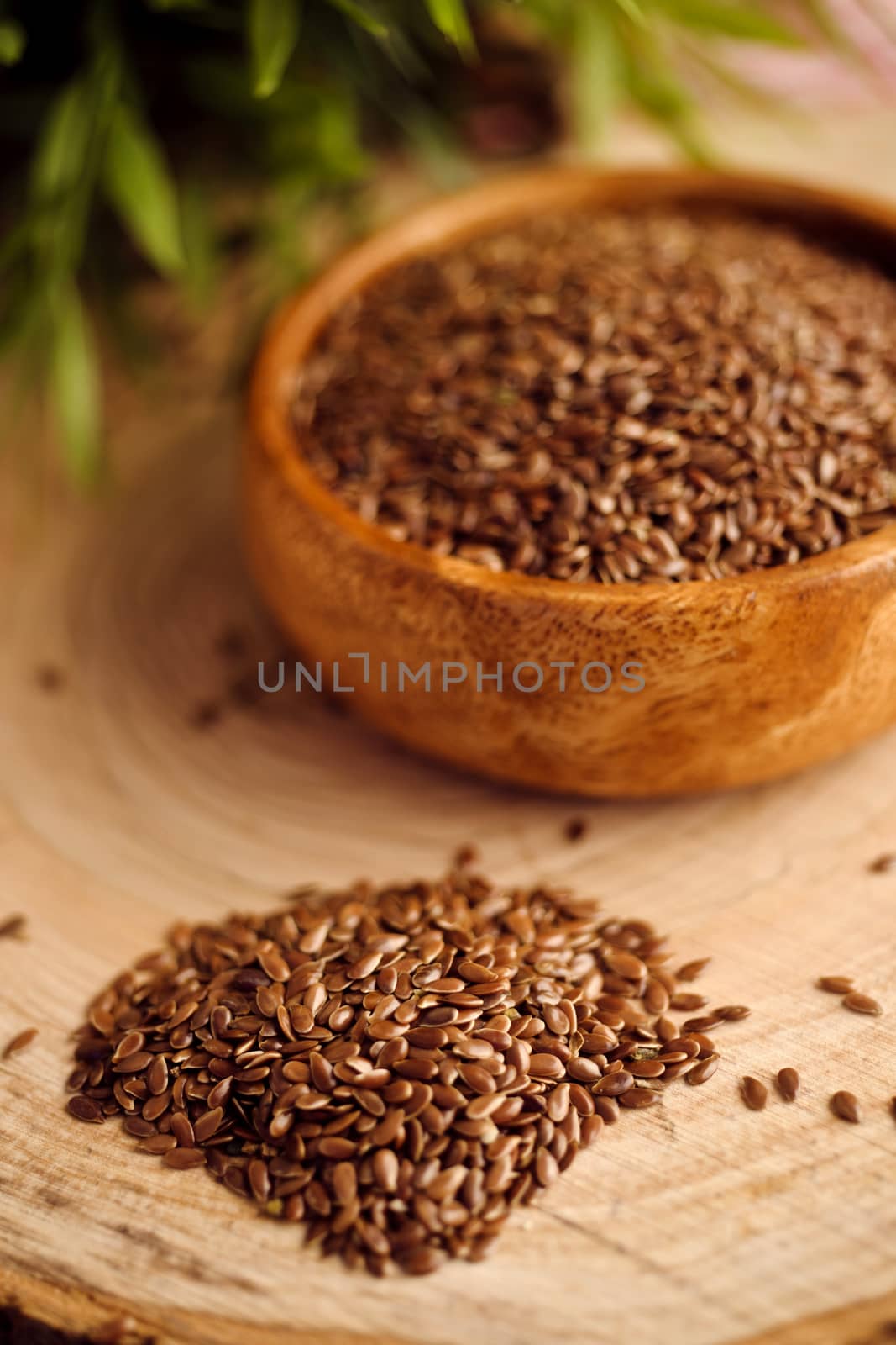 linseed