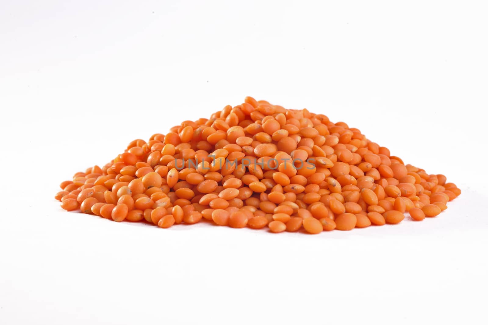 Lentil