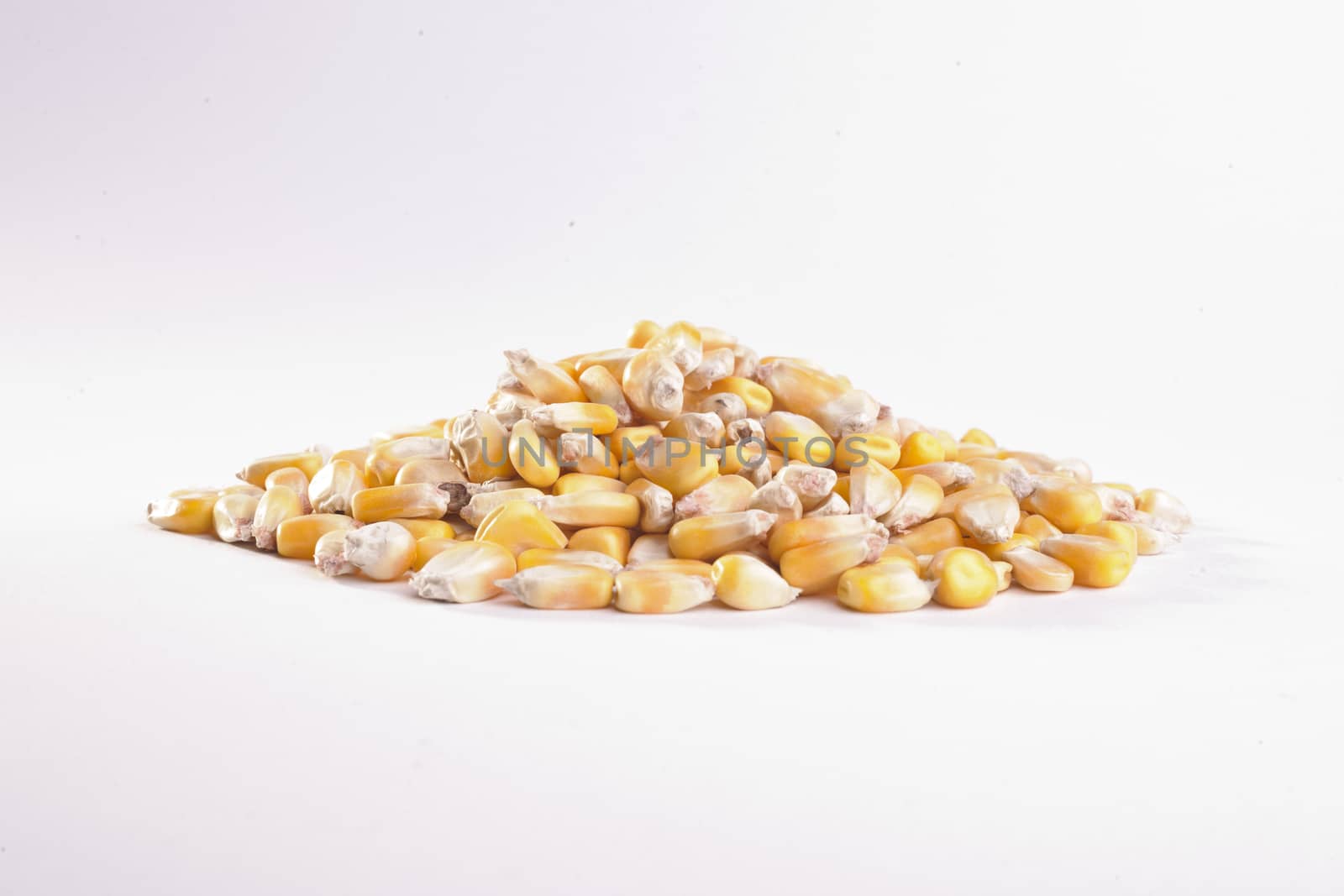 Grain: Feed Corn Pile by emirkoo