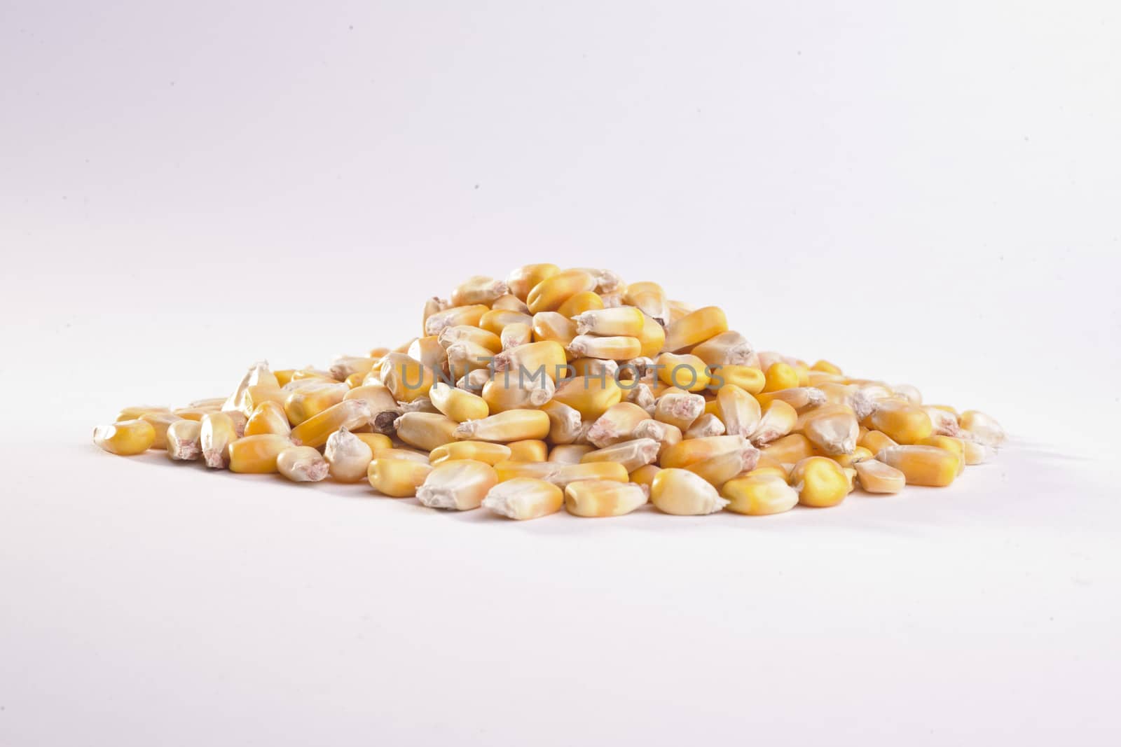 Grain: Feed Corn Pile by emirkoo