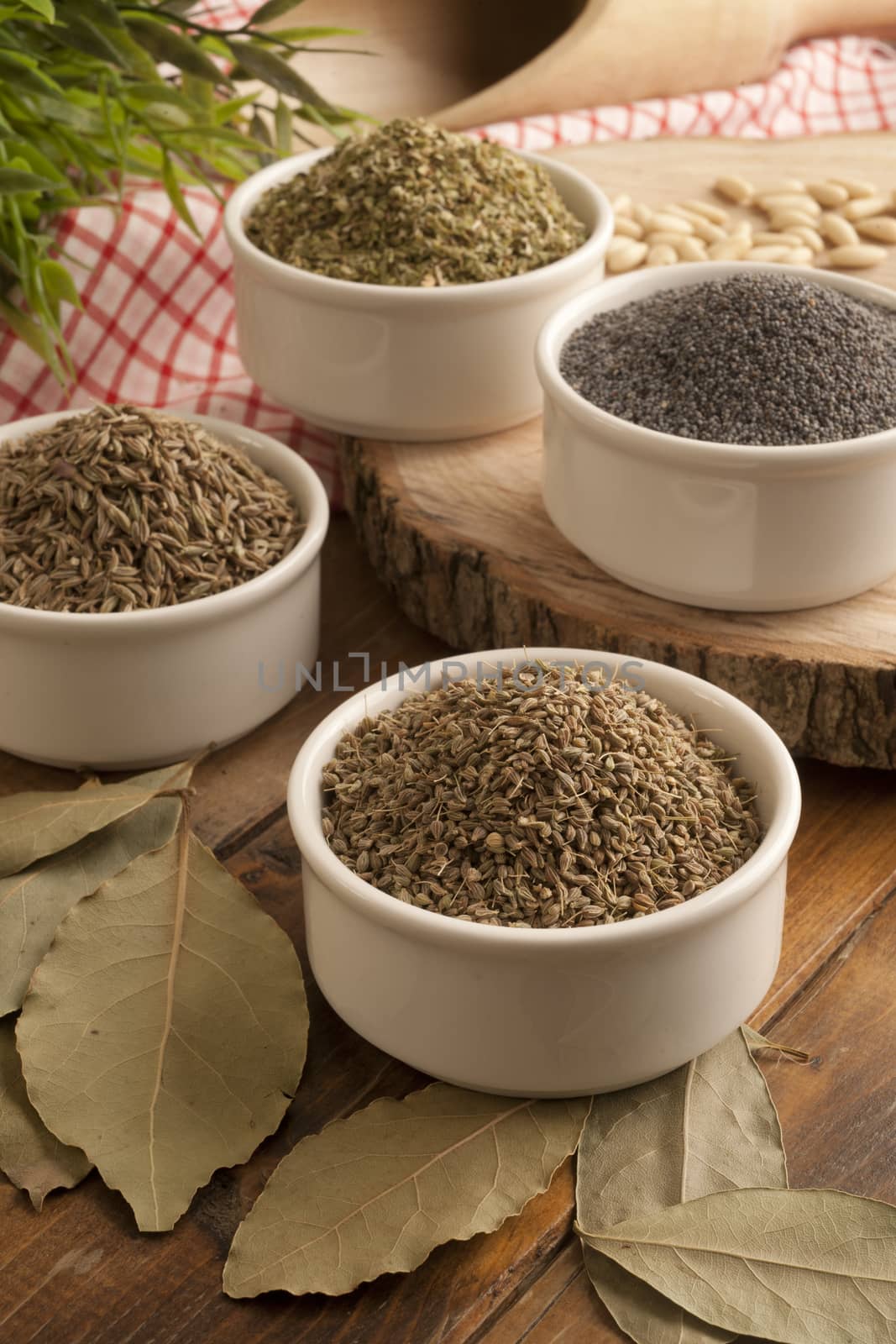 fennel, anise, poppy, thyme photo