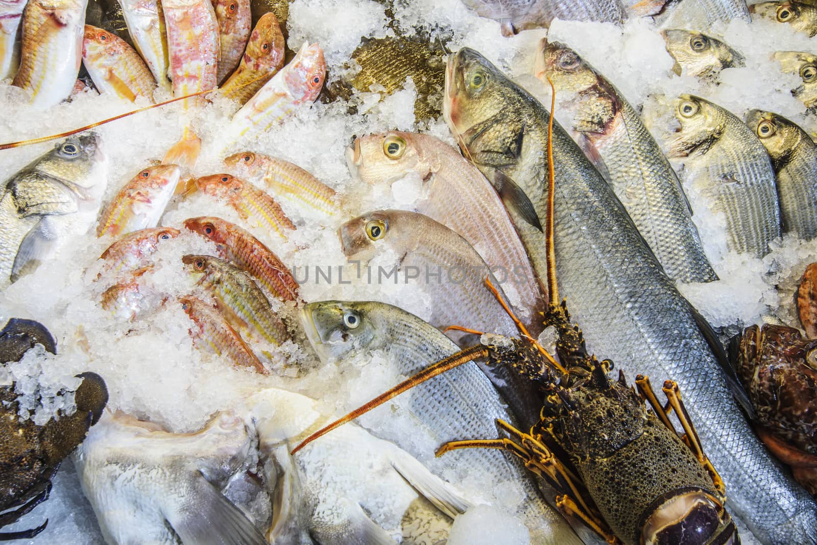 Mediterranean fish on ice