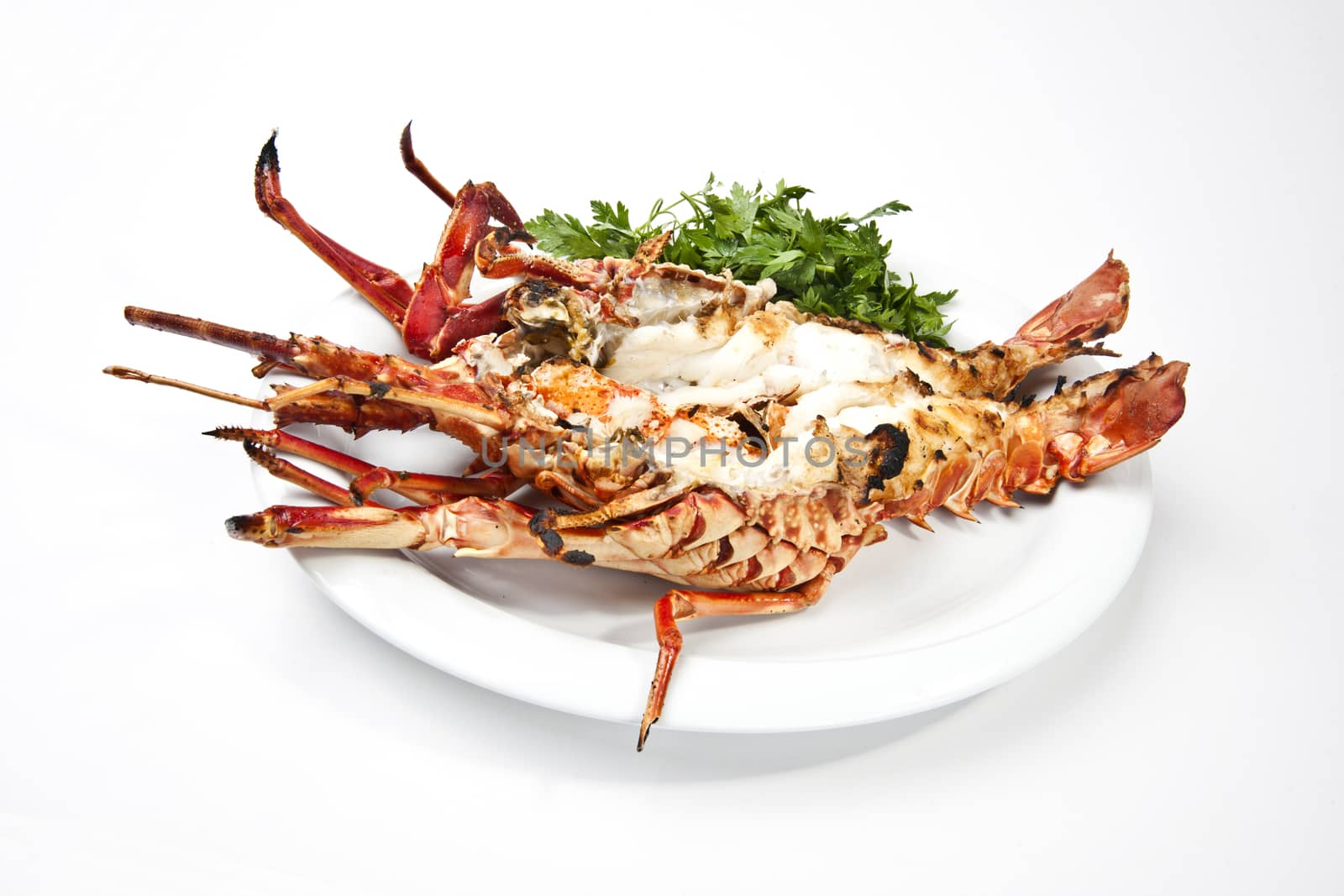 lobster grill by emirkoo