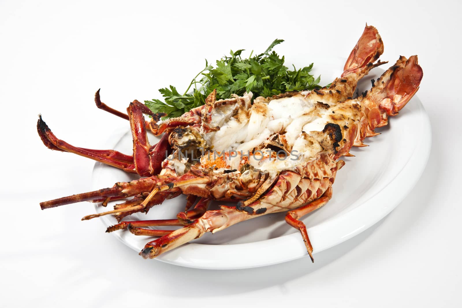 lobster grill by emirkoo