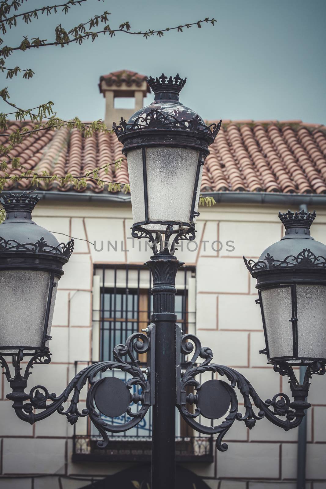 Lamppost, traditional street lamp with decorative metal flourish by FernandoCortes