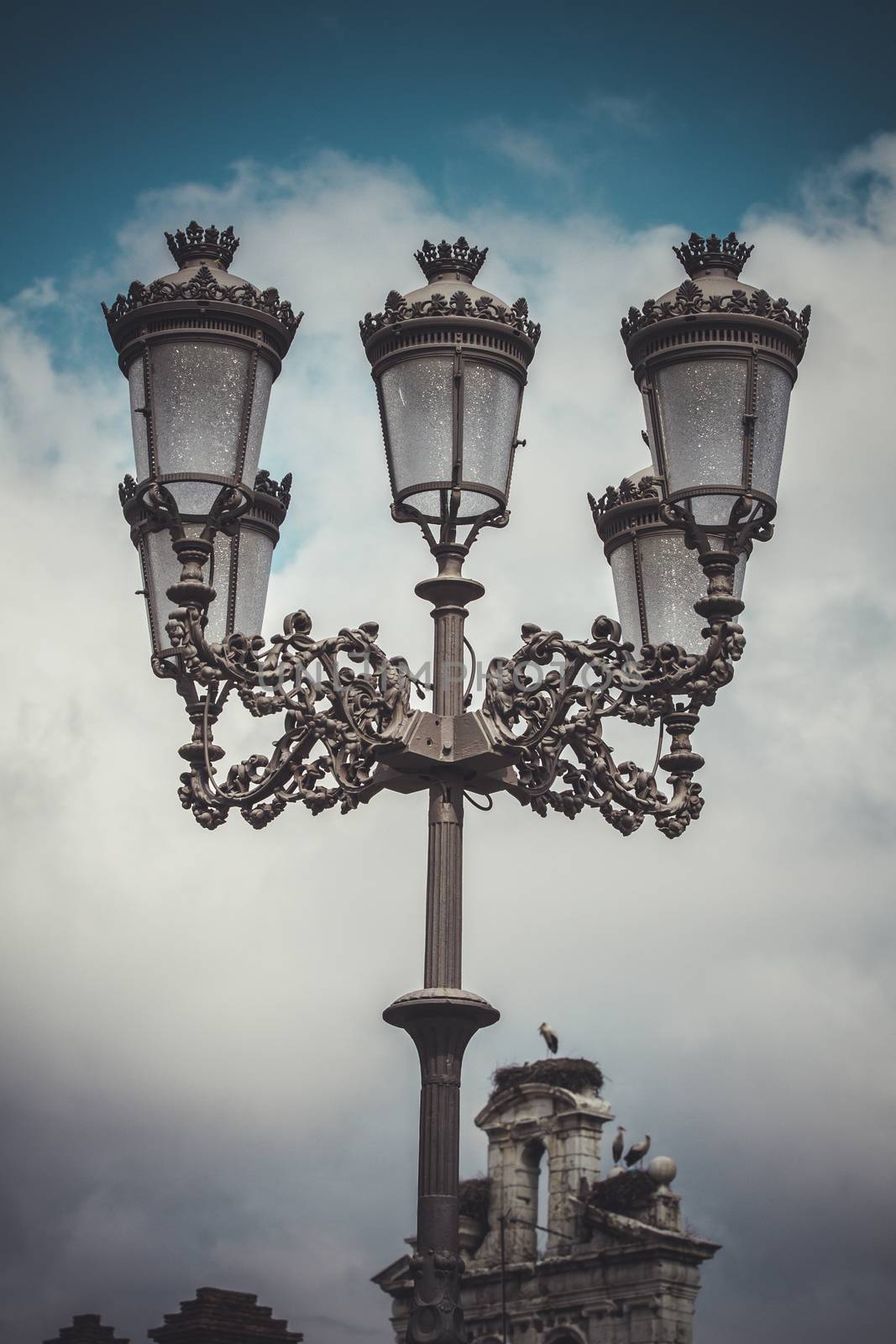 traditional street lamp with decorative metal flourishes by FernandoCortes