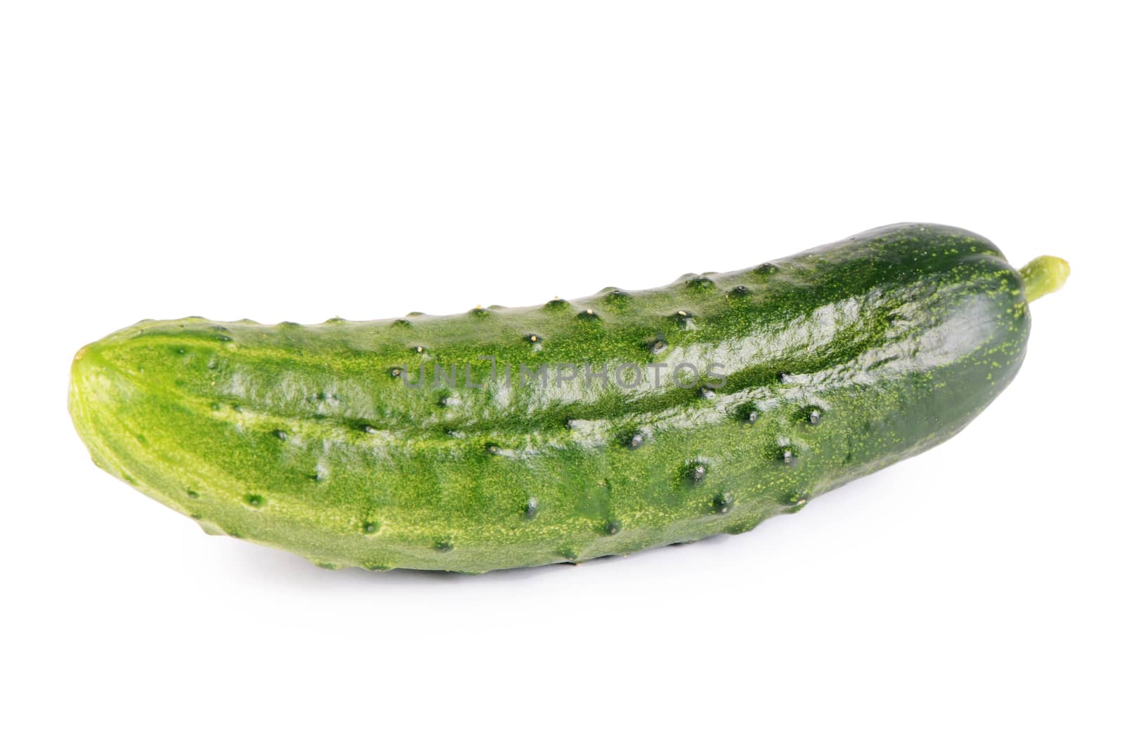 The fresh cucumber isolated on white background