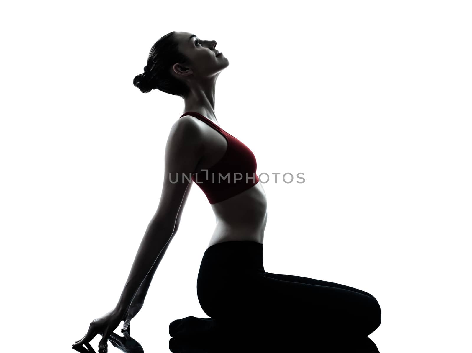 woman exercising yoga meditation silhouette by PIXSTILL