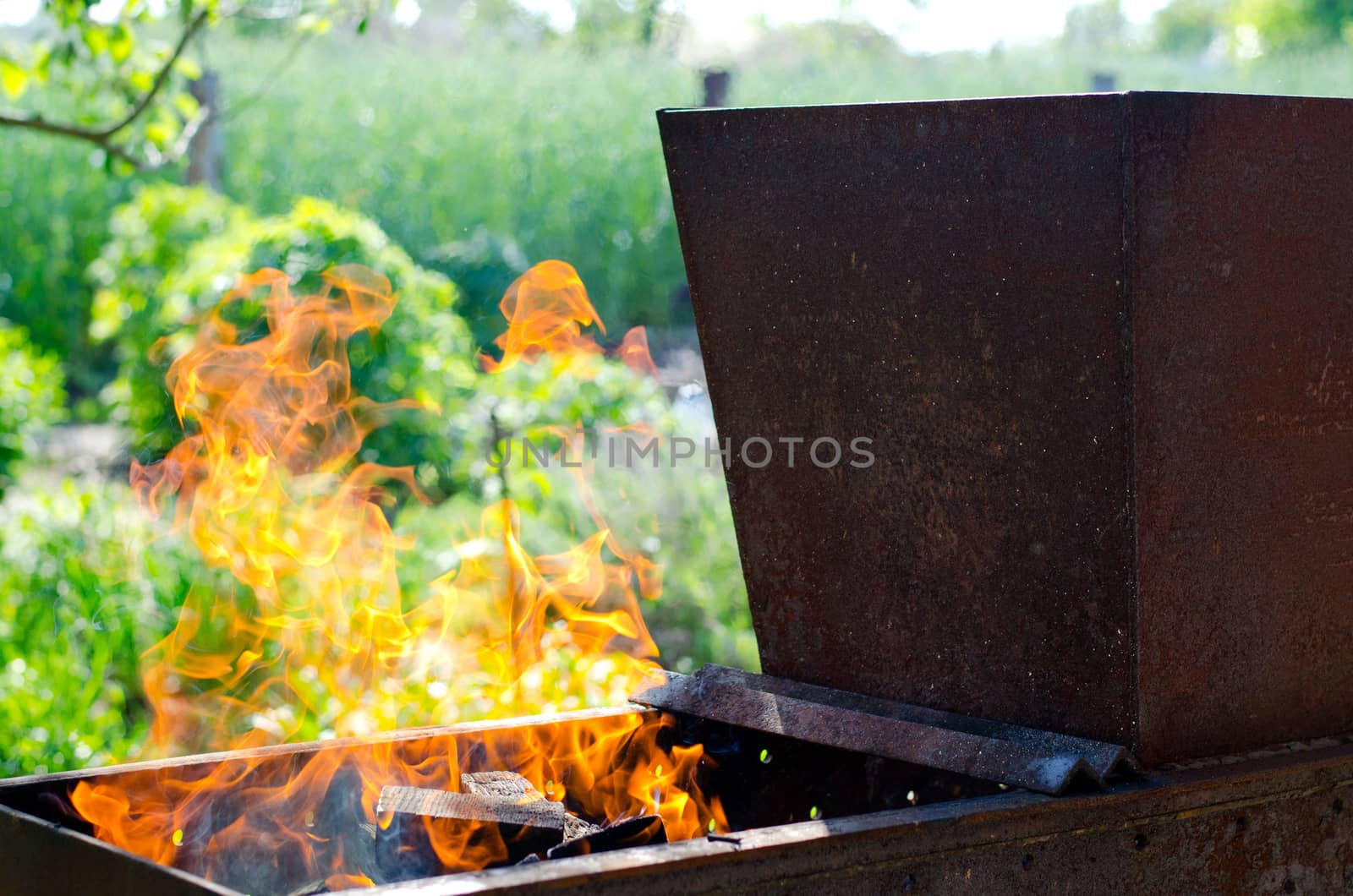 The flames in the grill on vacation in the country